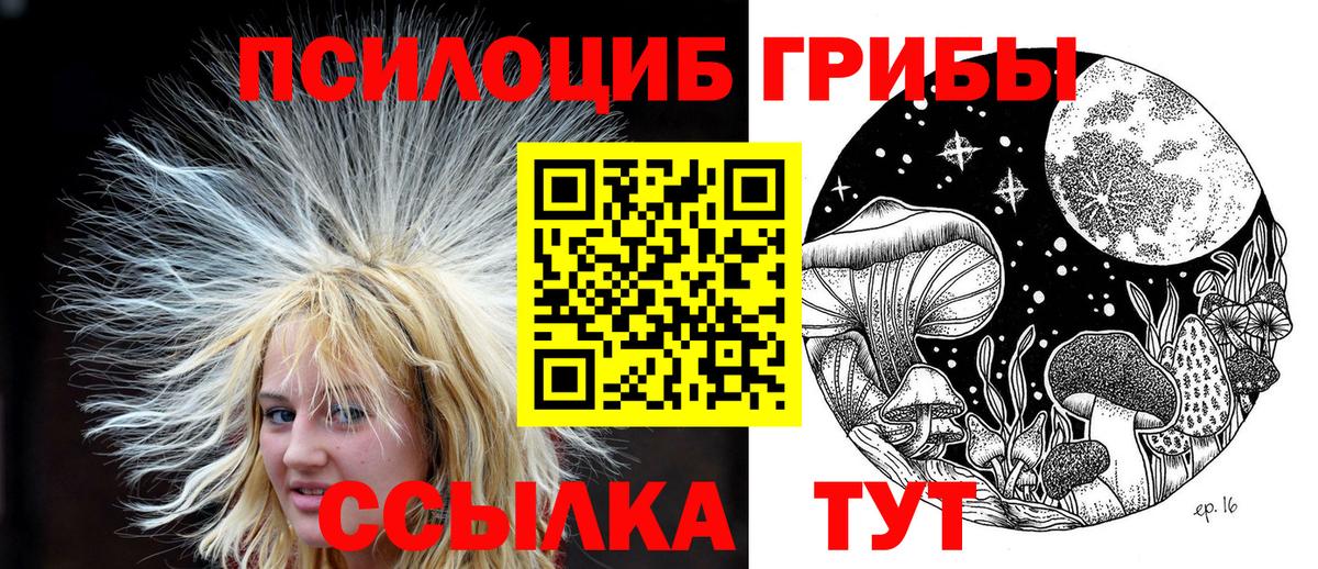 Псилоцибиновые грибы Magic Shrooms  Вход с VPN  Ростов Великий  Псилоцибиновые грибы Psilocybine cubensis 